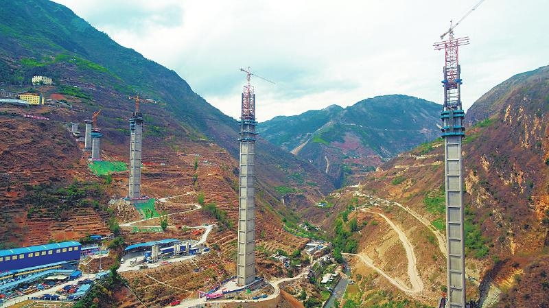 金陽河特大橋